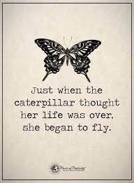 4 Signs Someone Is Suffering From Emotional Distress Butterfly Quotes Meant To Be Quotes Quotes Butterfly