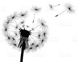 Dandelion Seed Clip Art Vector Images Amp Illustrations Istock Seed Illustration Dandelion Seed Dandelion
