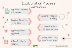 How long does the egg donation process take? What Is The Process For Egg Donation In Cyprus Quora