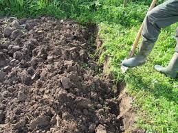 Wer einen neuen rasen anlegen möchte, sollte den. Garten Umgraben Warum Wann Wie Womit Tipps Garten Umgraben Garten Garten Pflanzen
