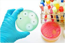 What Are Extensively Drug Resistant Xdr Bacteria