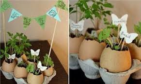 Coquilles D Oeufs Diy Spring Crafts Spring Diy Spring Crafts