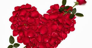 Maybe you would like to learn more about one of these? Tapete Bergerak Mobil Balap Blutenblatt Rot Blume Pflanze Valentinstag 173010 Wallpaperuse
