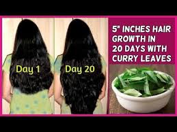 This is especially true with buns, which look full and elegant. Grow Long Hair Fast In 20 Days With Curry Leaves No Hair Loss And Fast Hair Growth Youtube Make Hair Grow Faster Grow Long Hair Longer Hair Faster