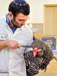 There are many, many kosher food symbols. Is Kosher Meat Safer News21 2011 National Project