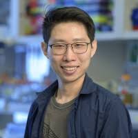 The Anna-Katerina Hadjantonakis Lab: Former Lab Members