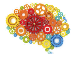 Resultado de imagen para CEREBRO