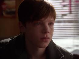 NCIS Biggest Celebrity Cameos