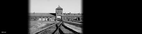 Image result for holocaust photos