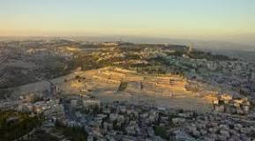 Image result
