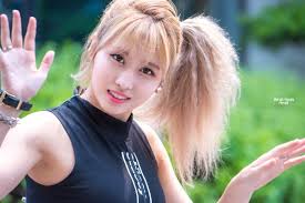 Check spelling or type a new query. Twice Momo Blonde Hair 1500x1001 Wallpaper Teahub Io