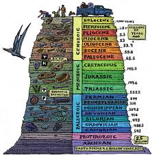 The Fossil Record Of Lineages And Ecosystems