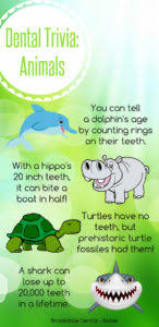 Dr michaels dental clinic 03 october 2012 last updated: Fun Fact Friday Animal Teeth Trivia