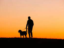 Check spelling or type a new query. Why Losing A Dog Can Be Harder Than Losing A Relative Or Friend