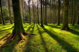 3 stars bakony hotel is conveniently located at fürdő u.57. Bakony Budos Banyaja Photos Facebook