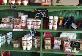 What hotels are near oasis camel dairy? Oasis Camel Dairy Farm A Fun Family Friendly Day Trip