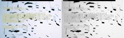 The camel igg presented as two bands with molecular masses of 250 and 100 kda, the latter corresponding to heavy chain igg, on 10% gel electrophoresis. Camel Igg H L Atto 465 The Camel Igg Presented As 2 Bands With Molecular Masses Of 250 And 100 Kda The Latter Corresponding To Heavy Chain Igg On 10 A Comparative Study