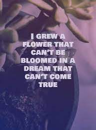 Pin On Meaningful Quotes