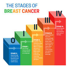 Inflammatory breast cancer is rare, accounting for 1 to 5 percent of all breast cancers diagnosed in the united states. Understanding The 5 Stages Of Breast Cancer And Prognosis