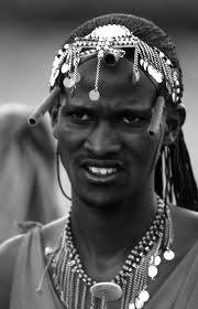 Leann Collins Wildlife Gallery