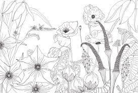 Posterbehang Bloementuin Met Grote Grafische Getekende Bloemen Bloemetjesbehang Grafisch Ontwerpen Tekenen