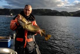 Der kabeljau oder dorsch (gadus morhua) gehört zur zoologischen familie der dorsche. Dorsch Kabeljau Auch Wir Konnen Fische Fangen Foto Bild Landschaft Lebensraume Nordsee Bilder Auf Fotocommunity