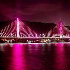 Iluminação da ponte Anita Garibaldi homenageia as mulheres _Neste fim de semana, a iluminação estará na cor rosa em homenagem ao Dia Internacional da Mulher_ Em homenagem ao Dia Internacional da Mulher,