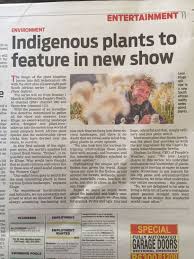 Image result for Meiostemon tetrandrus