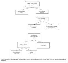 Who Emro Risk Factors For Neonatal Intensive Care Unit