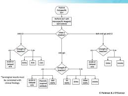 Dat Cord Blood Flow Chart