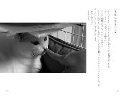 まとめまとめ ニュース