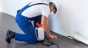 We offer complete termite and pest control services. Dktvgr9zk9ju9m
