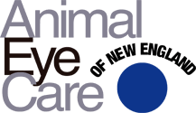 Maybe you would like to learn more about one of these? Homepage Animal Eye Care Of New England