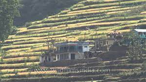 Terrace Farming On The Himalayan Slopes In Uttaranchal India View From The Foothills Youtube