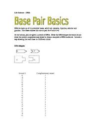 .pairing worksheet answer key is a new way of looking at defining happiness in every facets of our way of life including personal life and relationships in work. Dna Base Pairing Worksheet Answer Key Promotiontablecovers