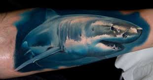 Victor Chil Tattoo Shark Shark Tattoos Tattoos For Guys Animal Tattoos