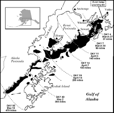 In 1989, the exxon valdez oil tanker ran aground in prince william sound, spilling 11 million gallons of crude oil, impacting miles of alaska's coastline and killing millions of animals. Lingering Oil Exxon Valdez Oil Spill Trustee Council