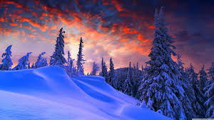 2560 x 1600 jpeg 330 кб. Winter Christmas 4k Wallpaper Winter Wallpaper Hd Winter Wallpaper Christmas Landscape