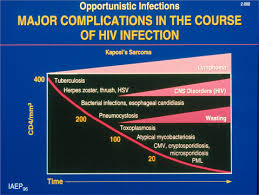 Fever In The Human Immunodeficiency Virus Hiv Patient