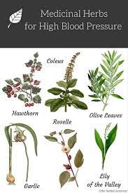 Pin On Herbs For Specific Ailments
