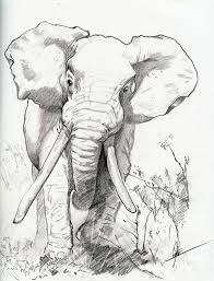 Elephant By Chinesewarri0r On Deviantart Elephant Art Elephant Sketch Animal Drawings