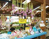 九十九里ハーブガーデン 千葉県 九十九里浜 観光名所 99herbgarden ページ