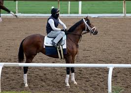 Check spelling or type a new query. Rombauer To Target Start In Preakness Stakes Bloodhorse