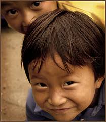 Connected: The Surprising Power of Our Social Networks and How They Shape  Our Lives (Book Review)