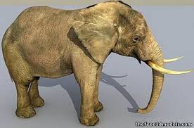 All 3d Models Free 3d All Download Page 2 3d Model Elephant Model