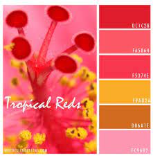 Hibiscus is a very hardy, versatile plant and in tropical conditions it can enhance the beauty of any garden. Floral Color Palette Red Hibiscus Spring Color Palette Red Colour Palette Green Colour Palette
