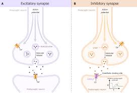 Image result for Volatile Inhalant