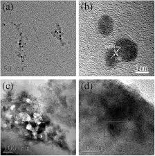 David menyenaraikan 1 pekerjaan pada profil mereka. Bsa Aunps Tb Amp Metal Organic Frameworks For Ratiometric Fluorescence Detection Of Dpa And Hg2 Cai 2017 Luminescence Wiley Online Library