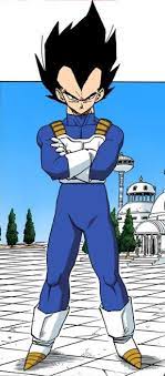 Vegeta, his rival and ally, has the. Vegeta Dragon Ball Wiki Fandom