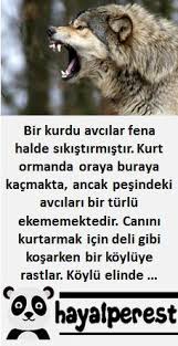 Pin By Mstf Mstf On Hikayeler Dogs Animals Husky